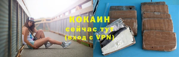 твердый Абаза