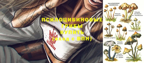 твердый Абаза